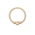 14kt Gold Stephanie Hinged Segment Ring