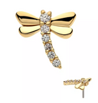 14K Gold Threadless Dragonfly CZ Top