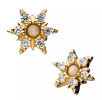 14K Gold Threadless 6 Point Star Opal & CZ Top