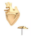 14K Gold Threadless Human Heart Top