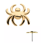 14K Gold Threadless Simple Spider Top