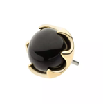 14Kt. Gold 6 Prong Black Onyx Top